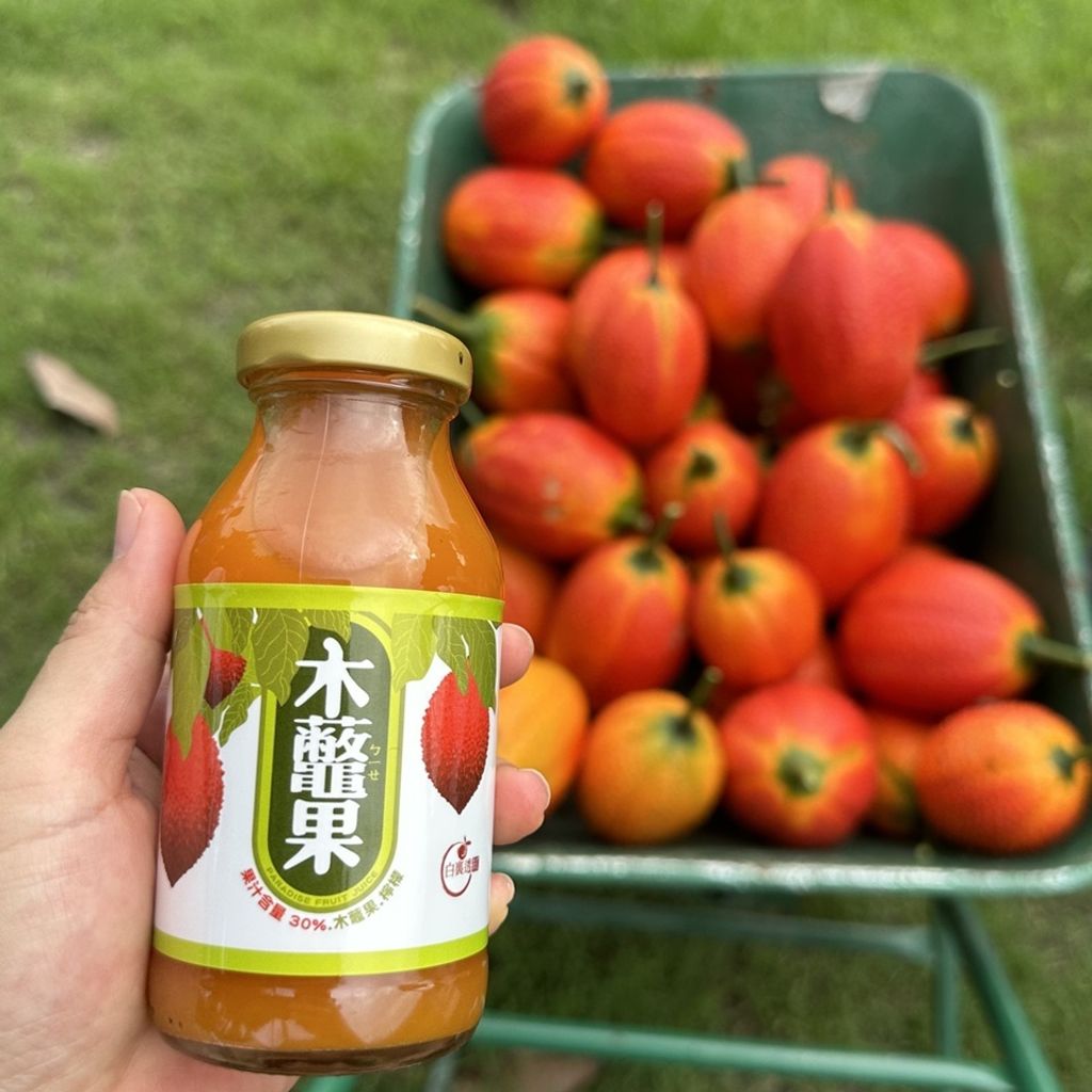 聖果蜜多-木鱉果檸檬飲3