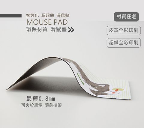 mouse1-04