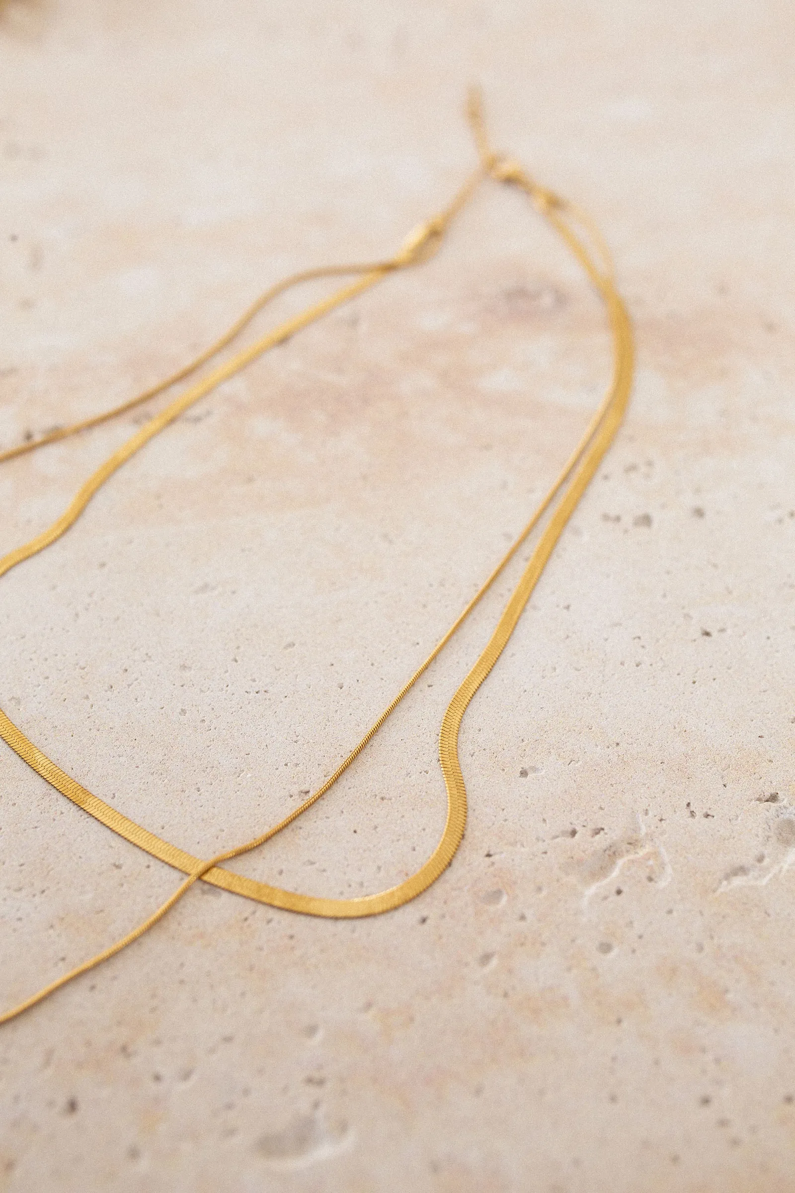 image_A3D8BDBB-4861-4D5E-880C-207DA84F390B_1764344143