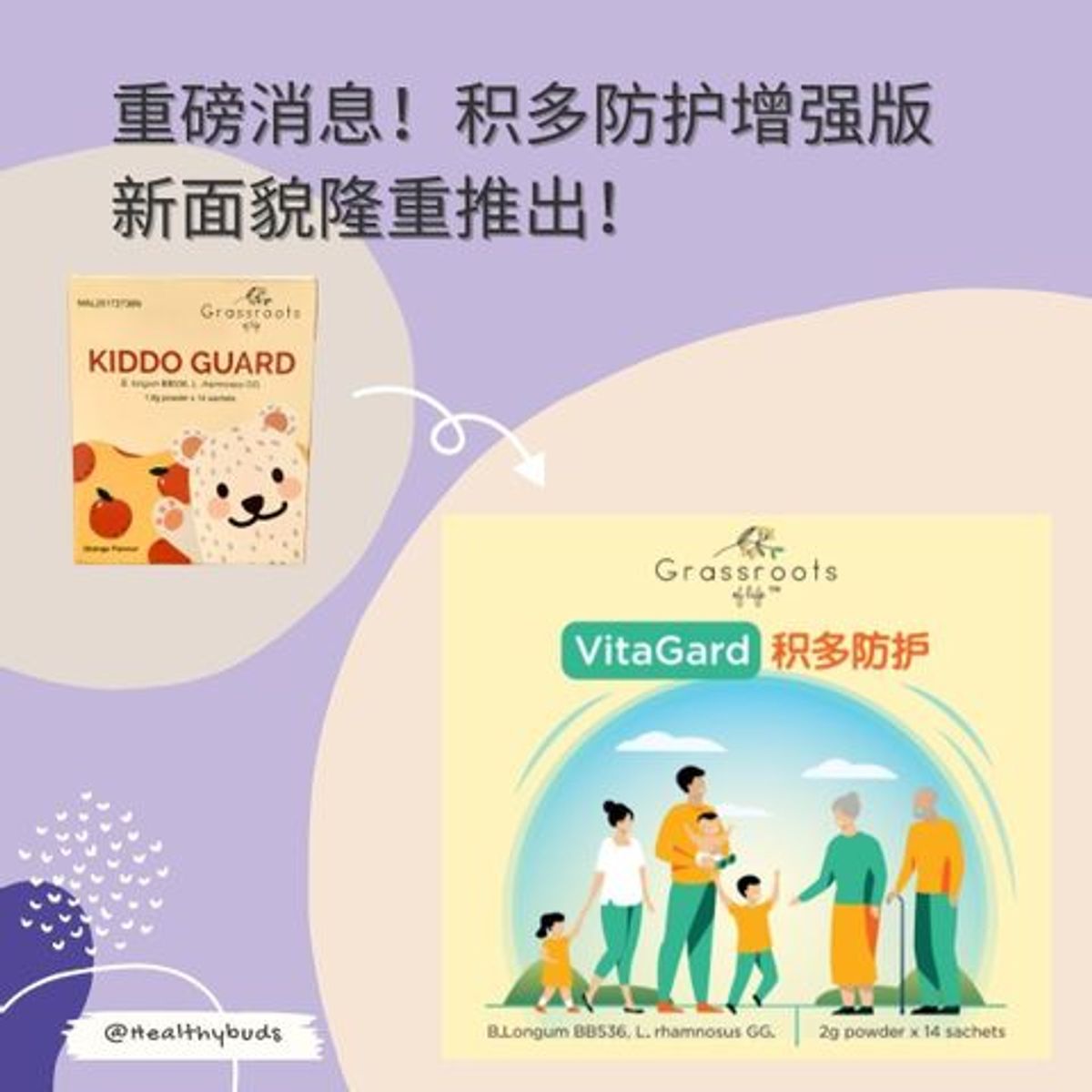 🌿 Introducing VitaGard: Boost Your Immune System with Friendly Bacteria! 增强免疫力,与友善细菌做朋友!🌿
