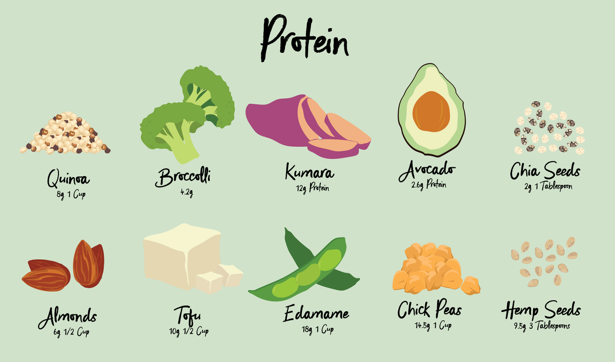 Unveiling the Truth: Debunking Myths about Animal and Plant Proteins 揭秘动物和植物蛋白质的迷思