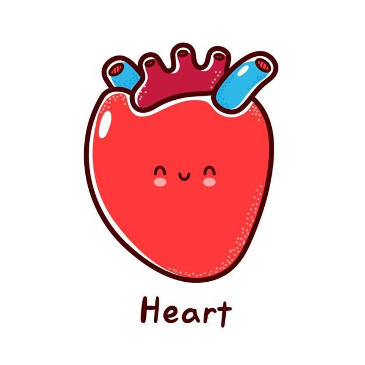 The Five Organs — Heart · Lima Organ — Jantung · 五脏之—心