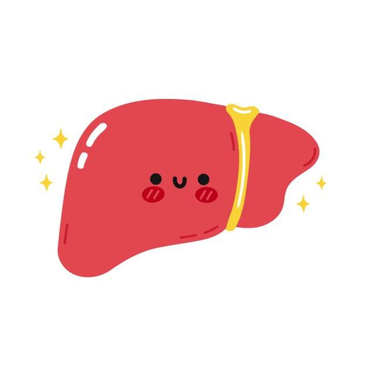 The Five Organs — Liver · Lima Organ — Hati · 五脏之—肝