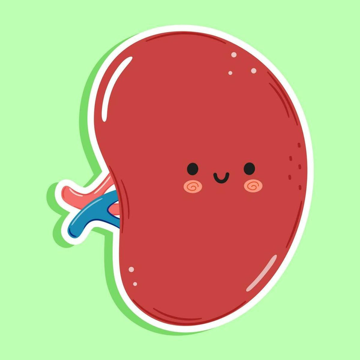 The Five Organs — Spleen · Lima Organ — Limpa · 五脏之—脾