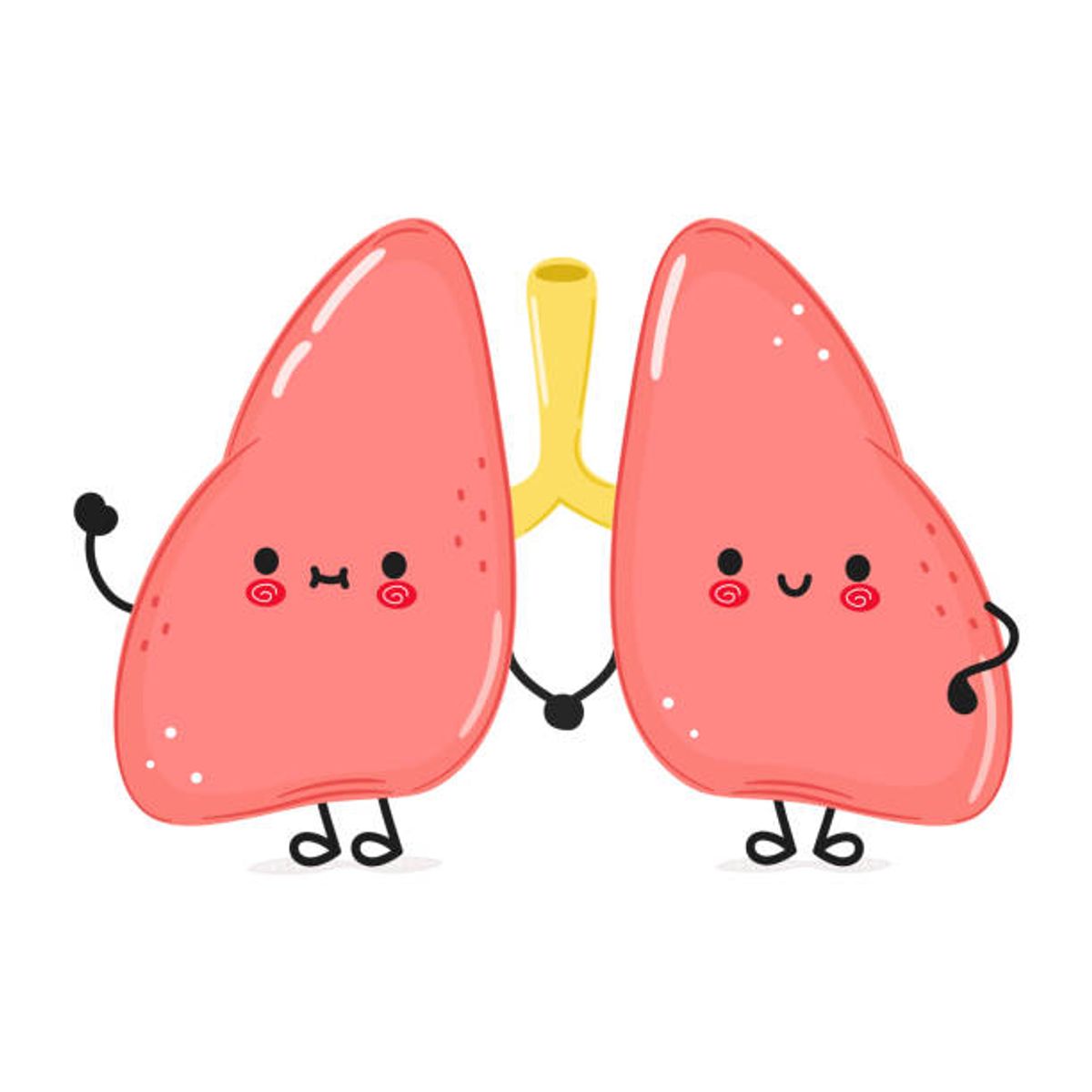 The Five Organs — Lung · Lima Organ — Paru-paru · 五脏之—肺