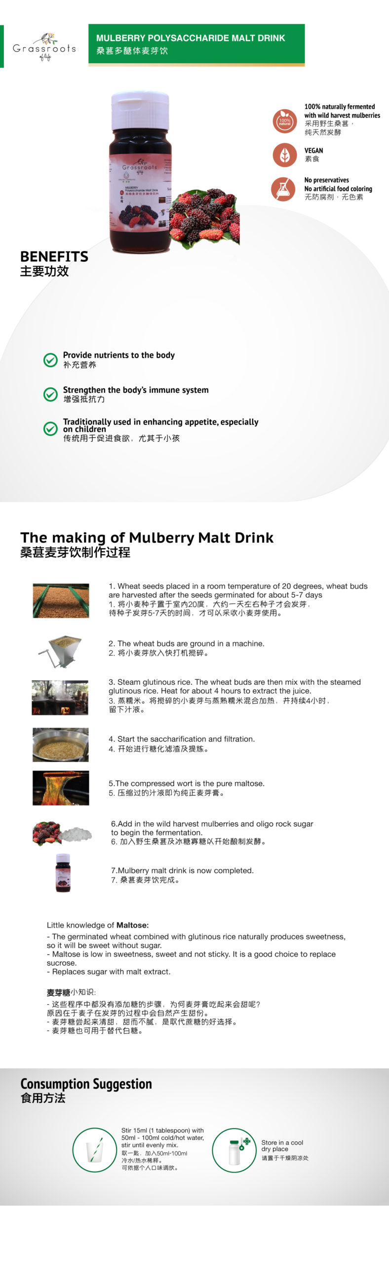 mulberry-malt-drink-1-scaled.jpg