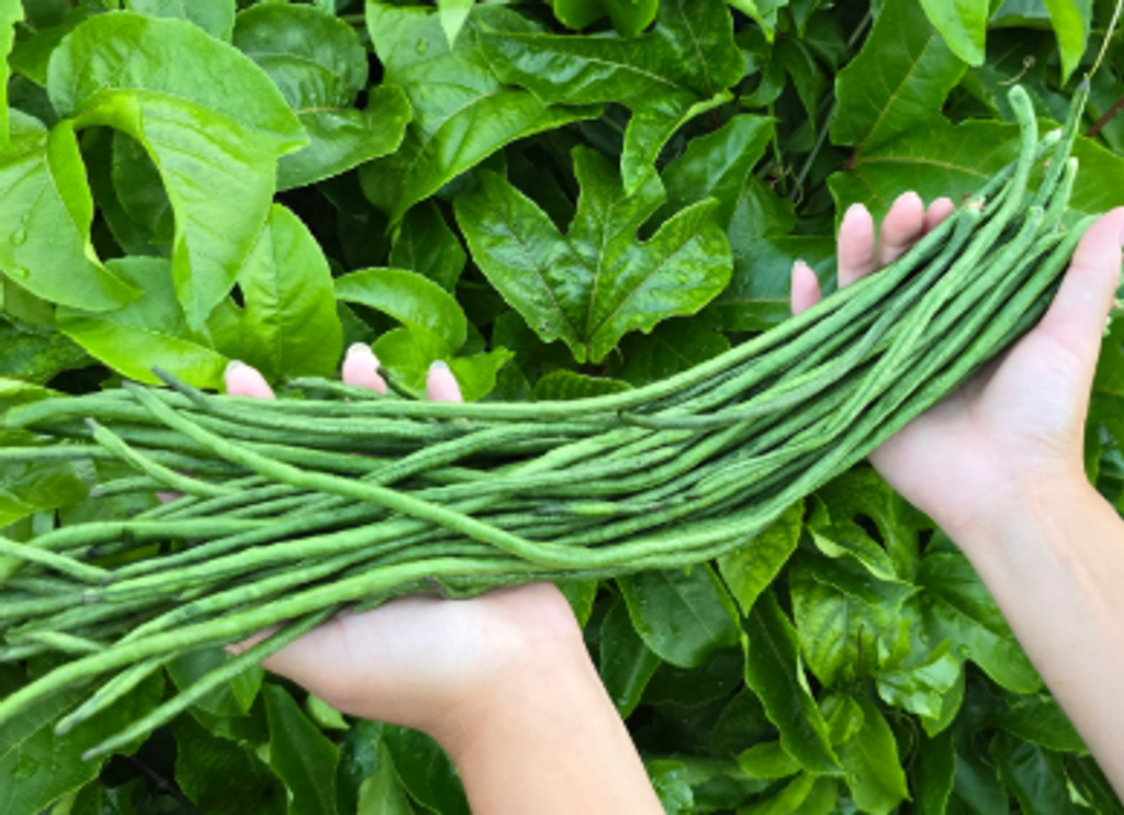 Screenshot 2026-04-14 121913