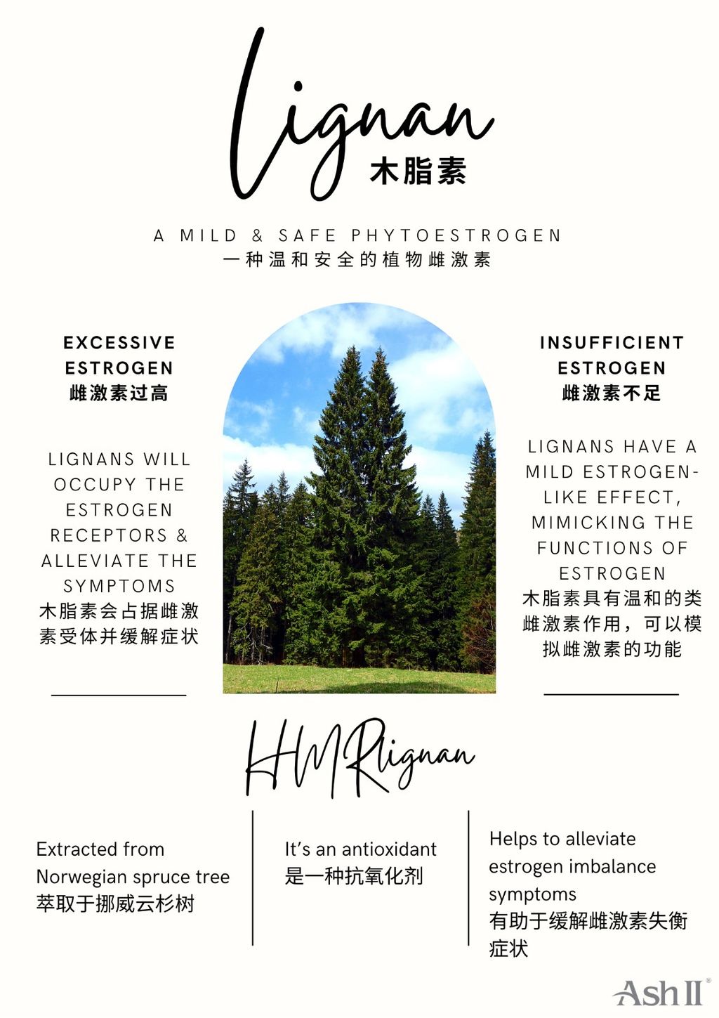 WhatsApp Image 2026-04-07 at 10.58.54