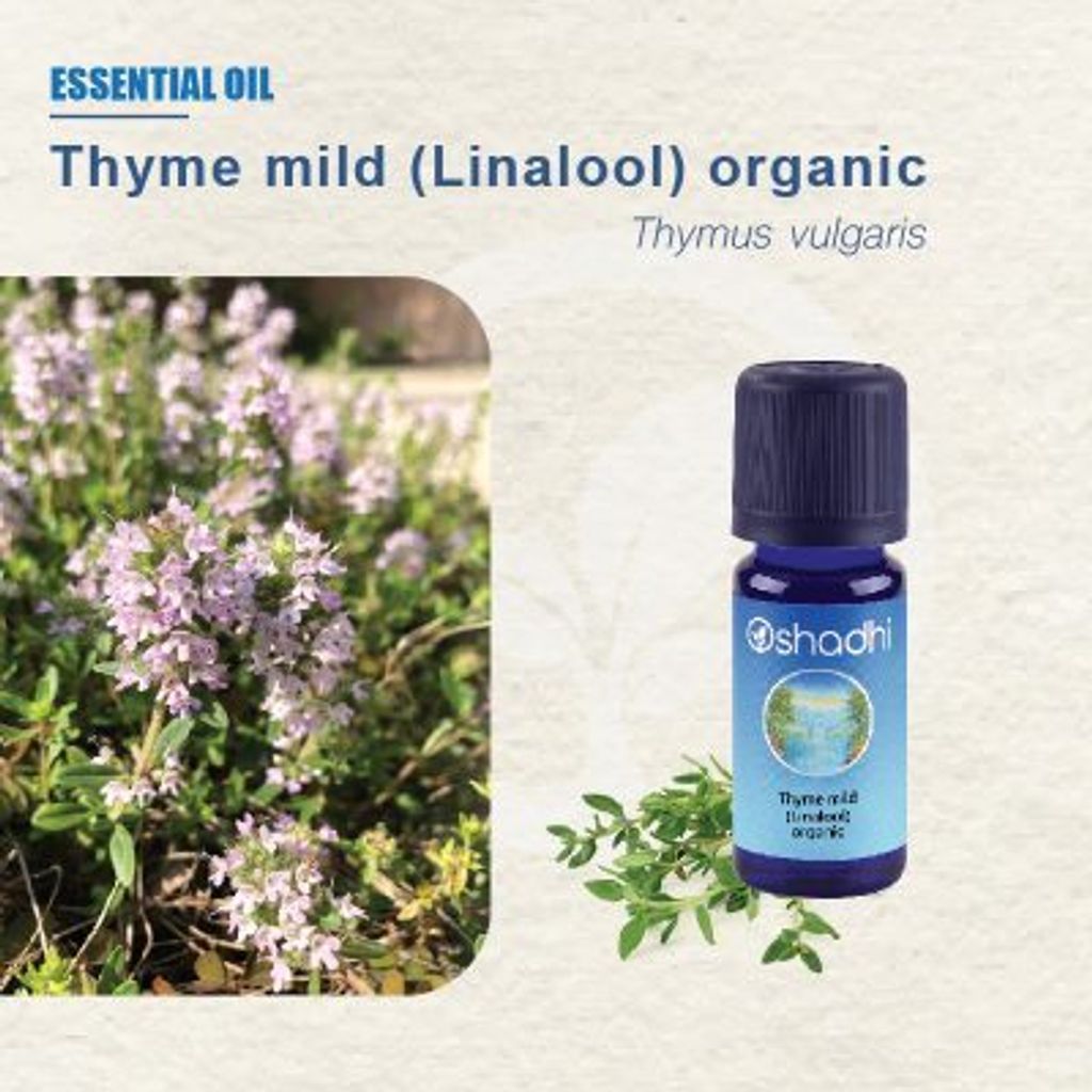 thyme-mid-ess-oil-01-400x400