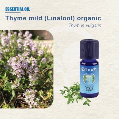 thyme-mid-ess-oil-01-400x400