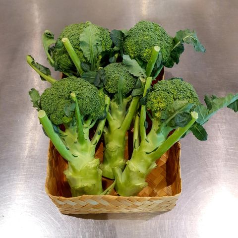 Broccoli.jpg