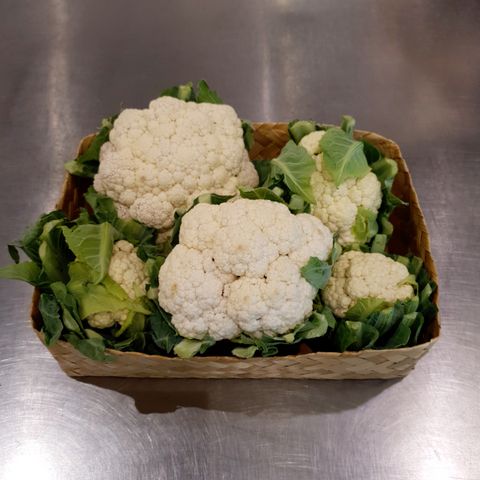 Cauliflower.jpg