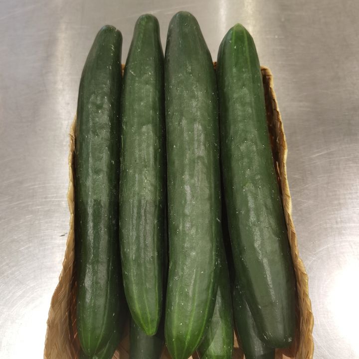 JapCucumber.jpg