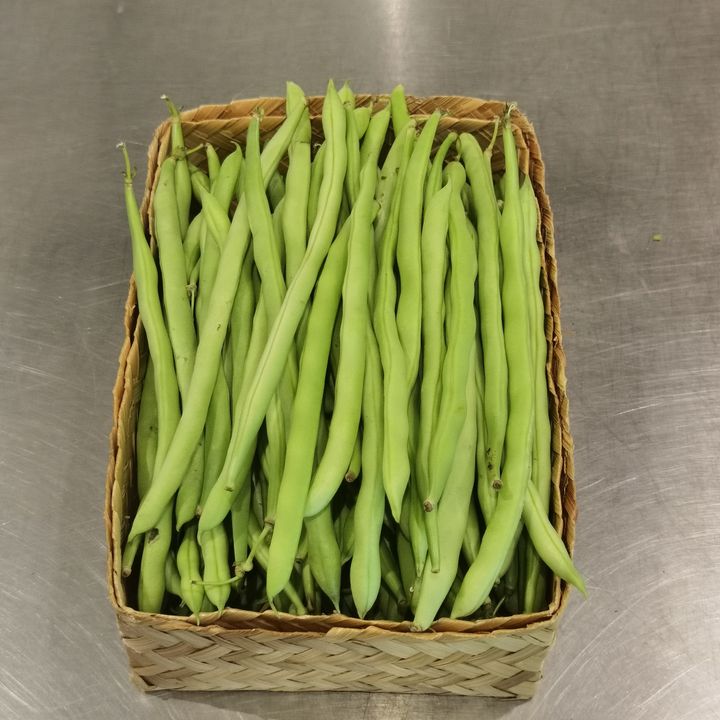 FrenchBean.jpg