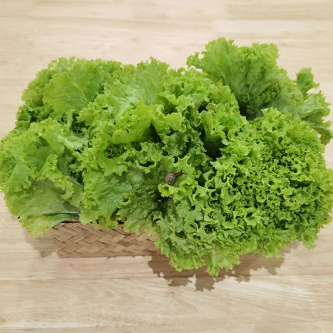 CoralLettuce.jpg