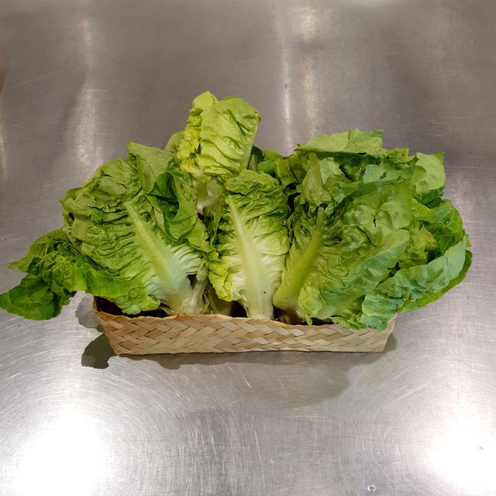 MiniCosLettuce.jpg