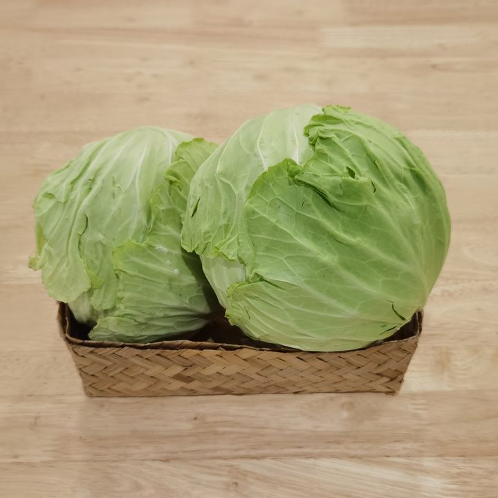 Cabbage.jpg