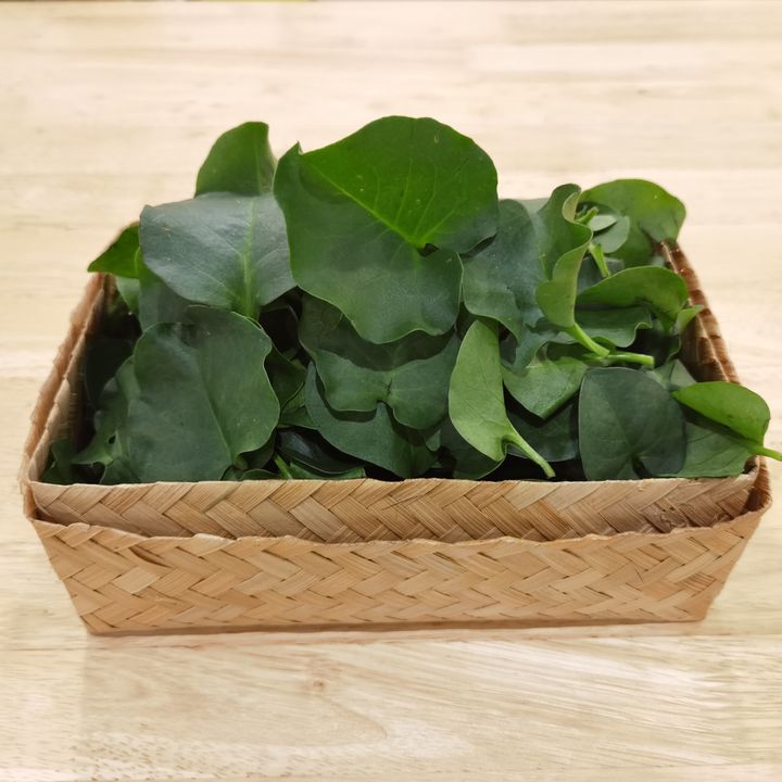 TianQi02.jpg