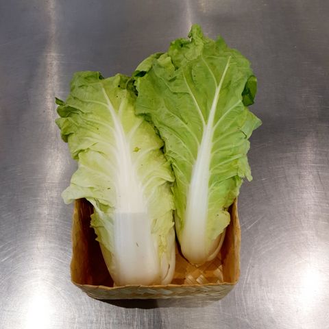 ChineseCabbage.jpg