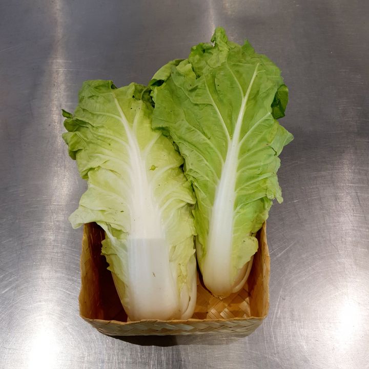 ChineseCabbage.jpg