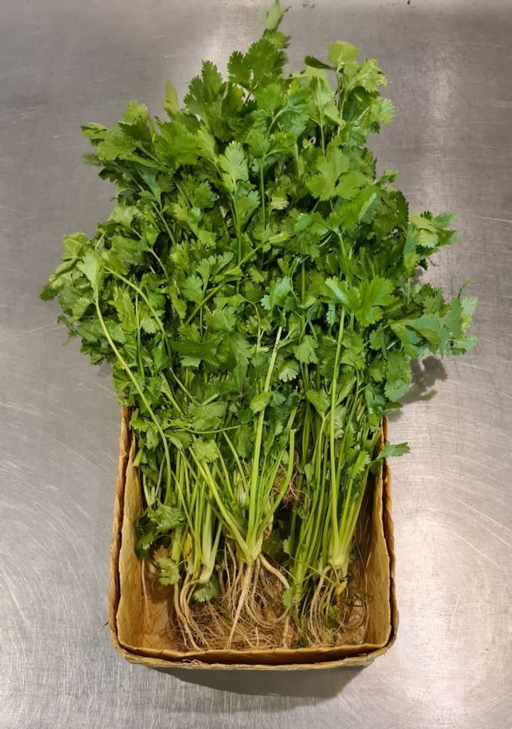 vegetable.jpg