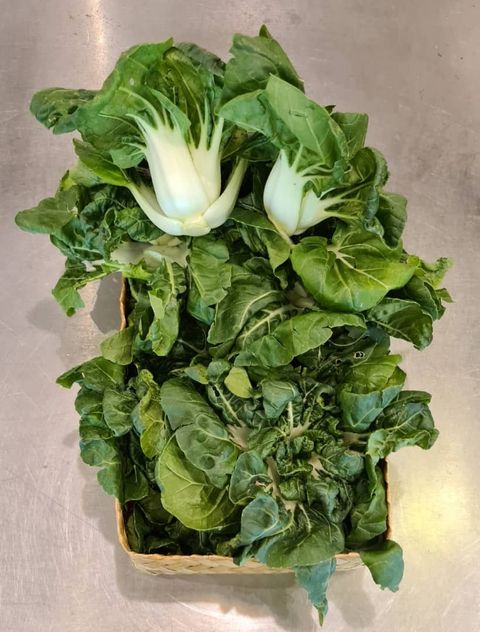 WhatsApp Image 2021-07-23 at 9.39.58 AM.jpeg