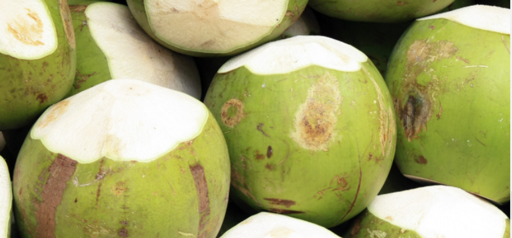 Coconut.PNG