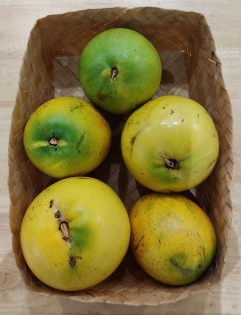 WhatsApp Image 2021-09-01 at 7.02.44 PM.jpeg