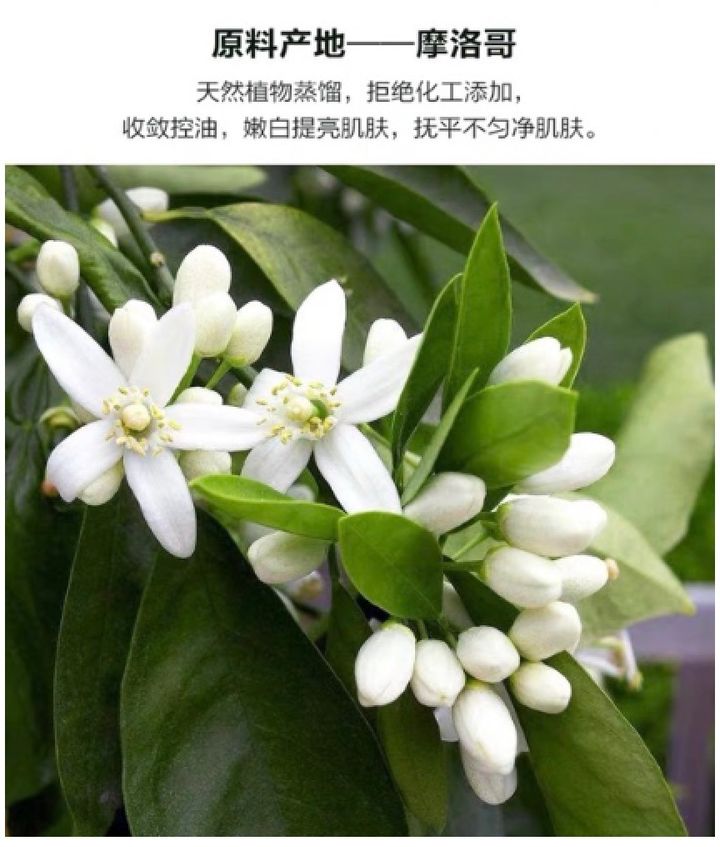 OrangeBlossom(Neroli)organic500m1l.png