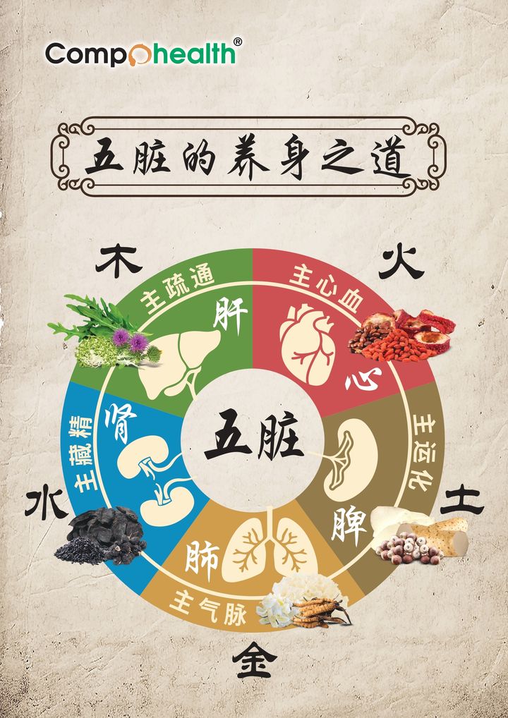 中医里的五行学讲解传单 (1)_page-0001