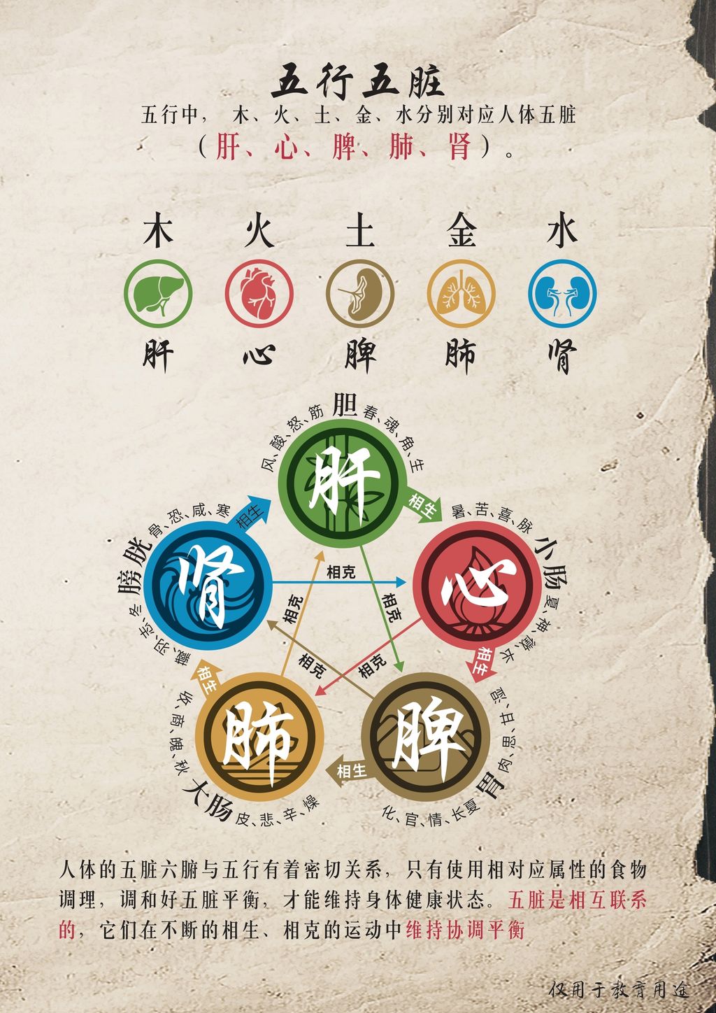 中医里的五行学讲解传单 (1)_page-0003