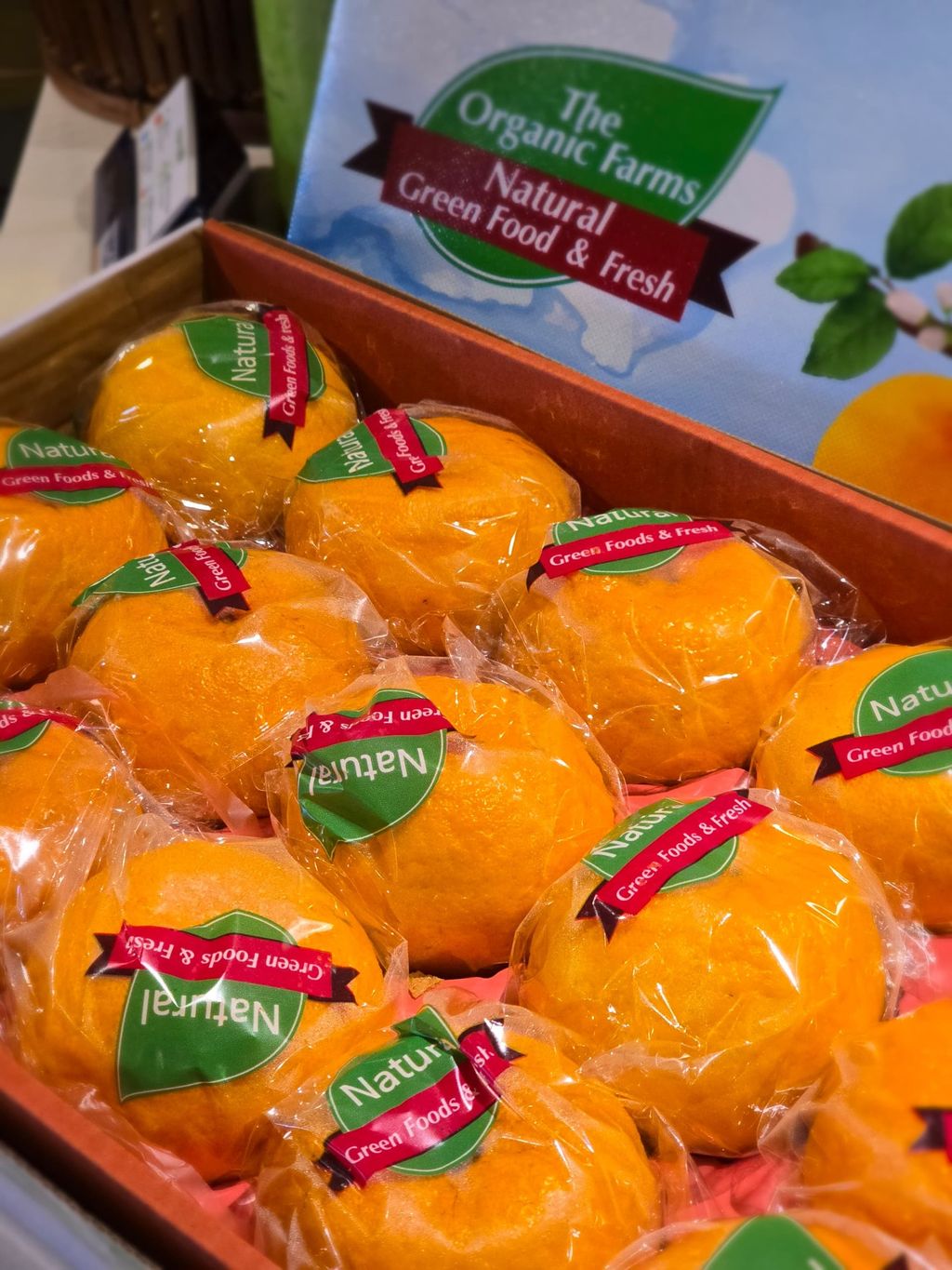 WhatsApp 图像2024-12-28于12.01.57_9a5c1498