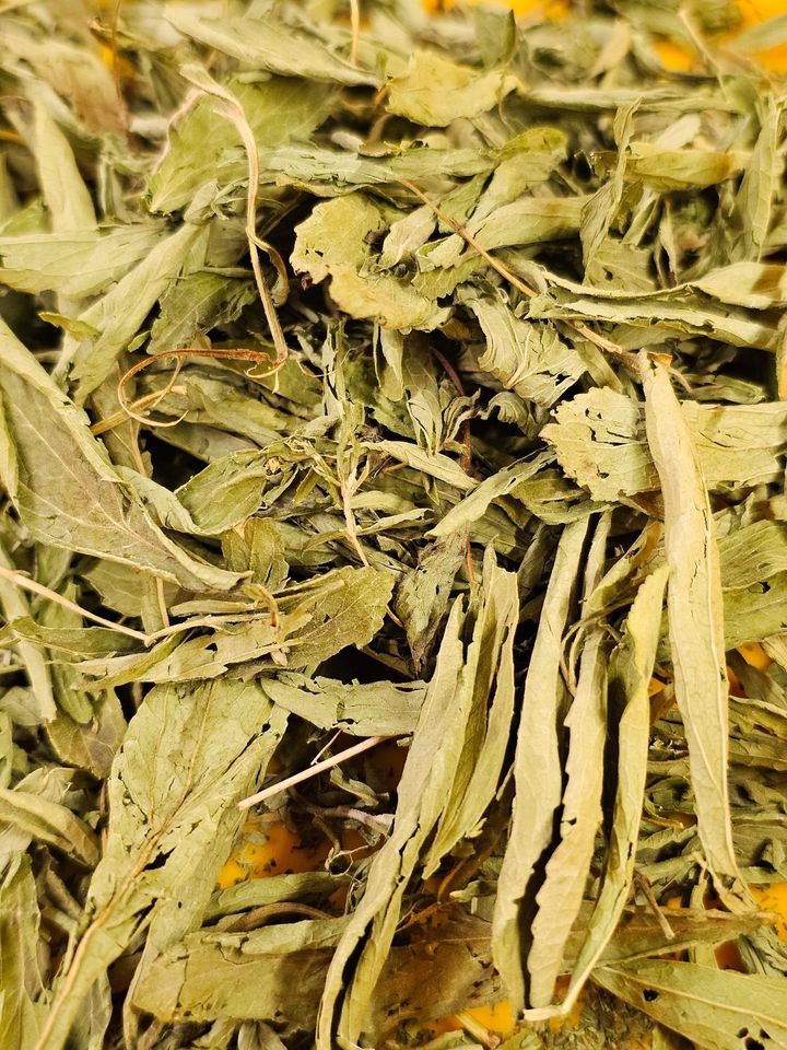 stevia 2