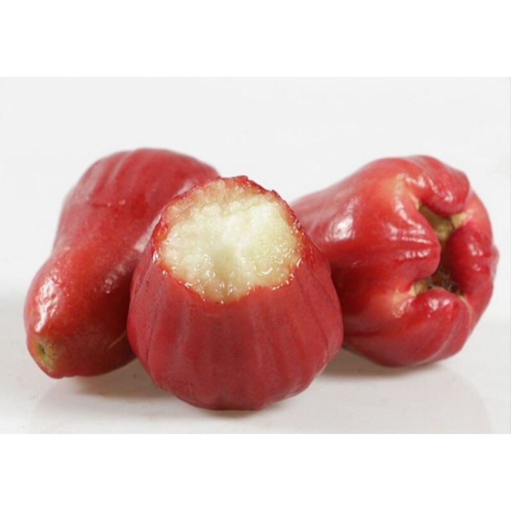 fbe3628a79dbf7e5b0ec1a224807c922