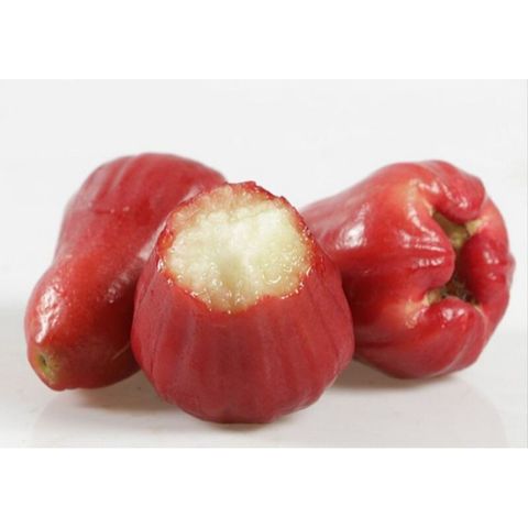 fbe3628a79dbf7e5b0ec1a224807c922