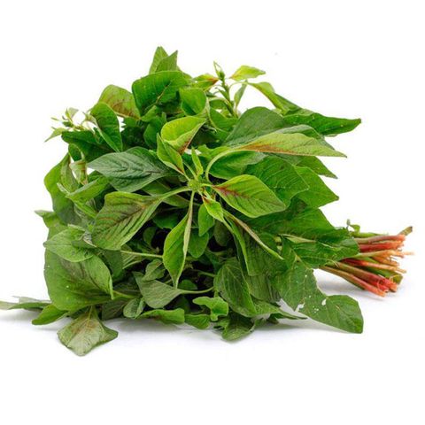 Thotakoora
