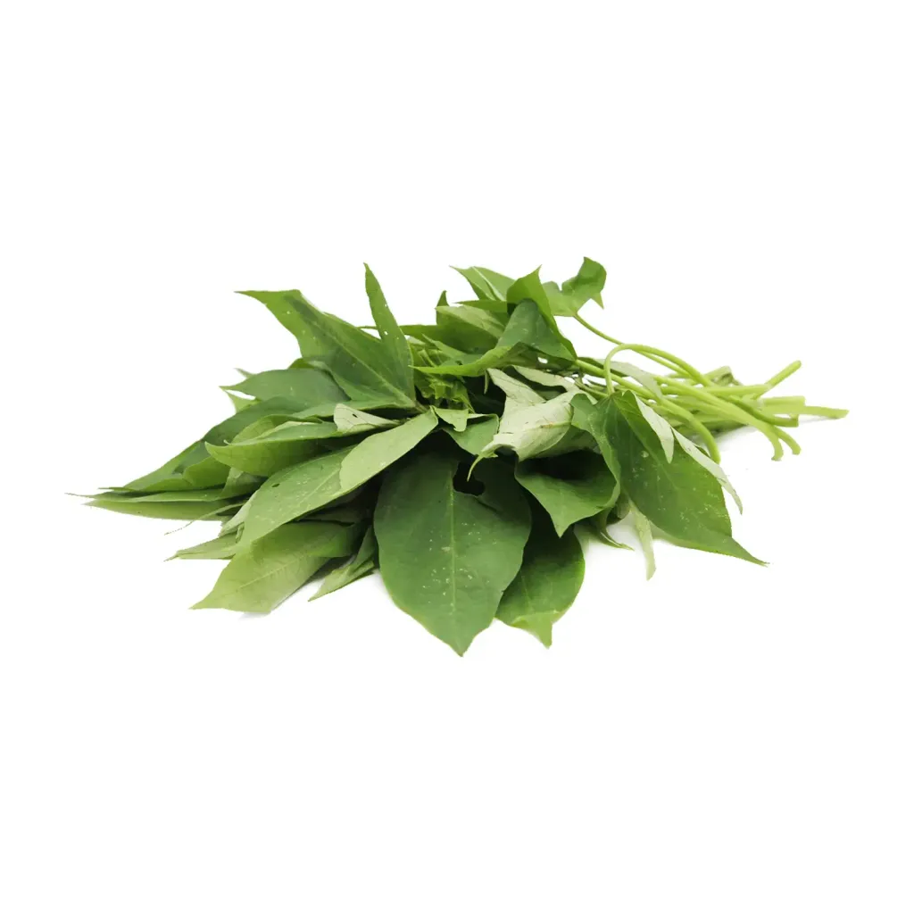 Organic-Sweet-Potato-Leaf