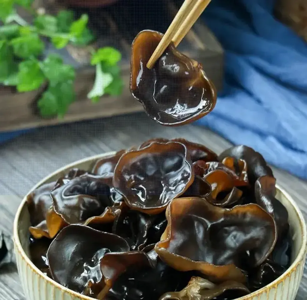 organic_black_fungus_3_2048x