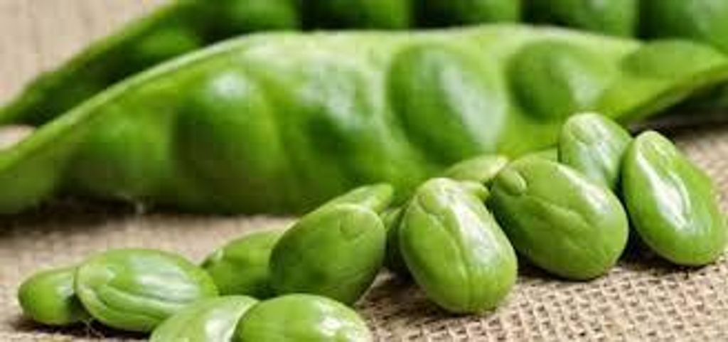 images - 2025-06-12T163850.263