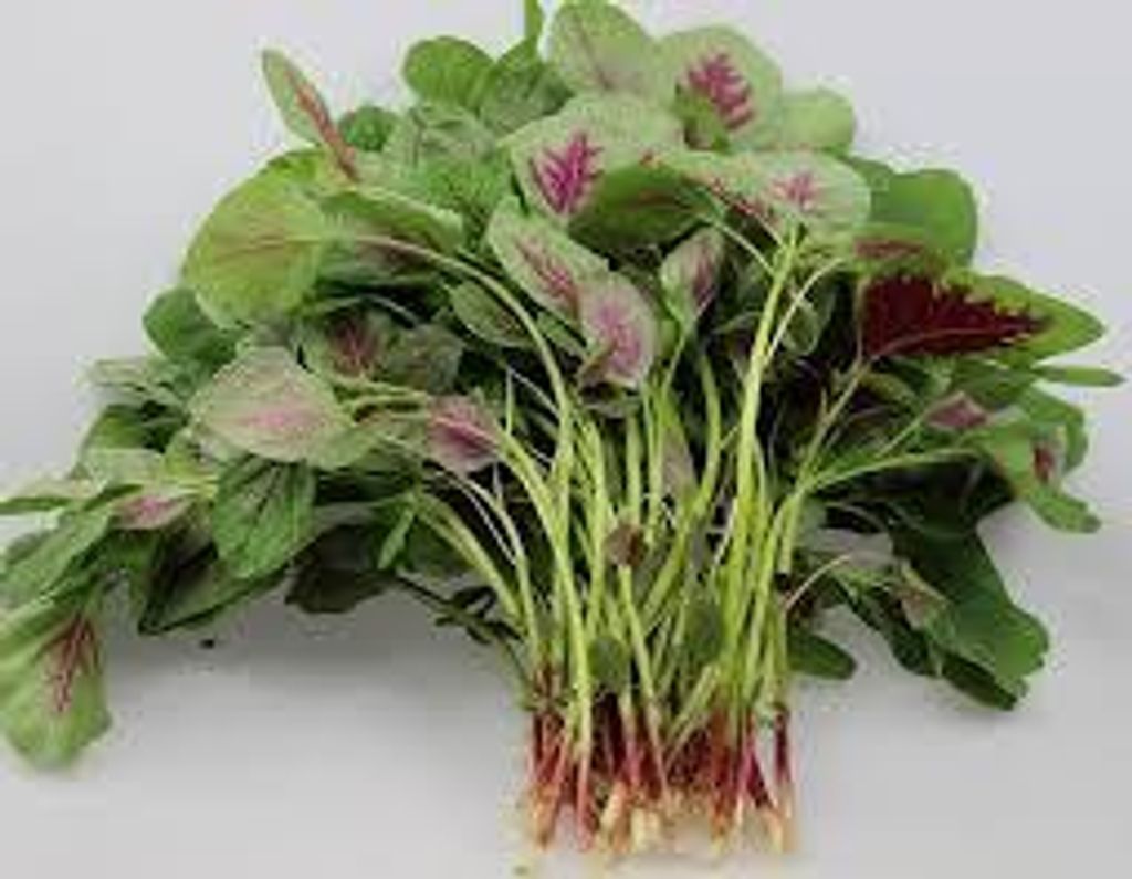 images - 2025-06-13T142630.241