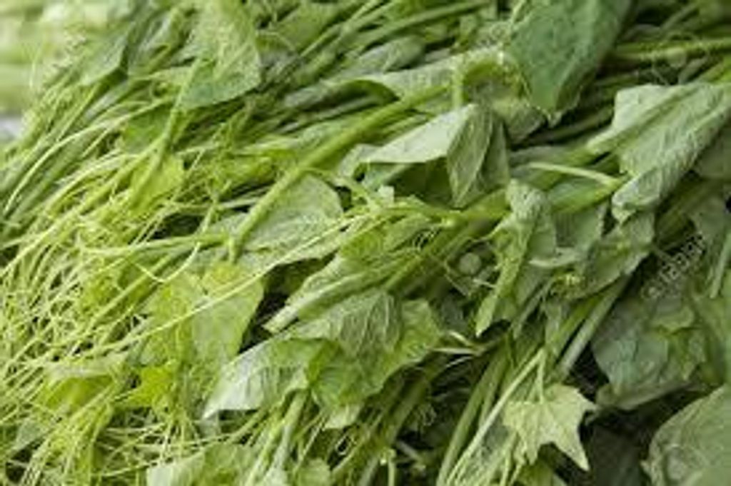 images - 2025-06-13T152701.347