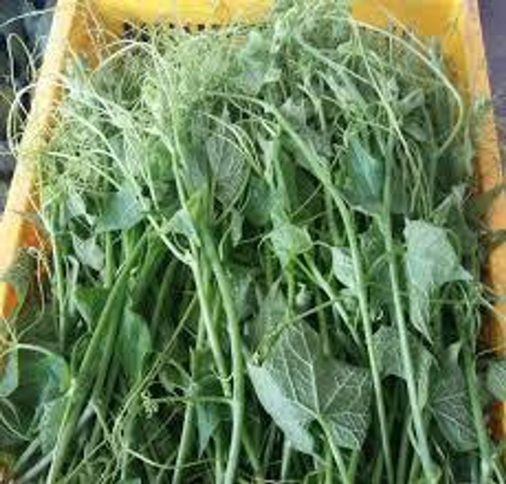 images - 2025-06-13T152739.704