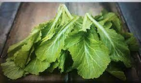 images - 2025-06-13T155553.118