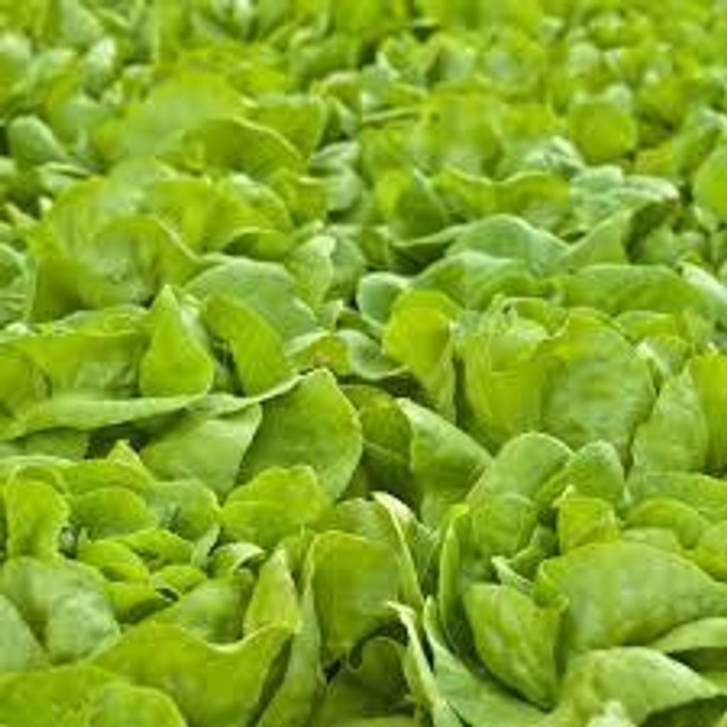 images - 2025-06-13T165316.903