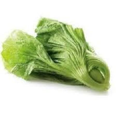 download - 2025-06-16T113507.227