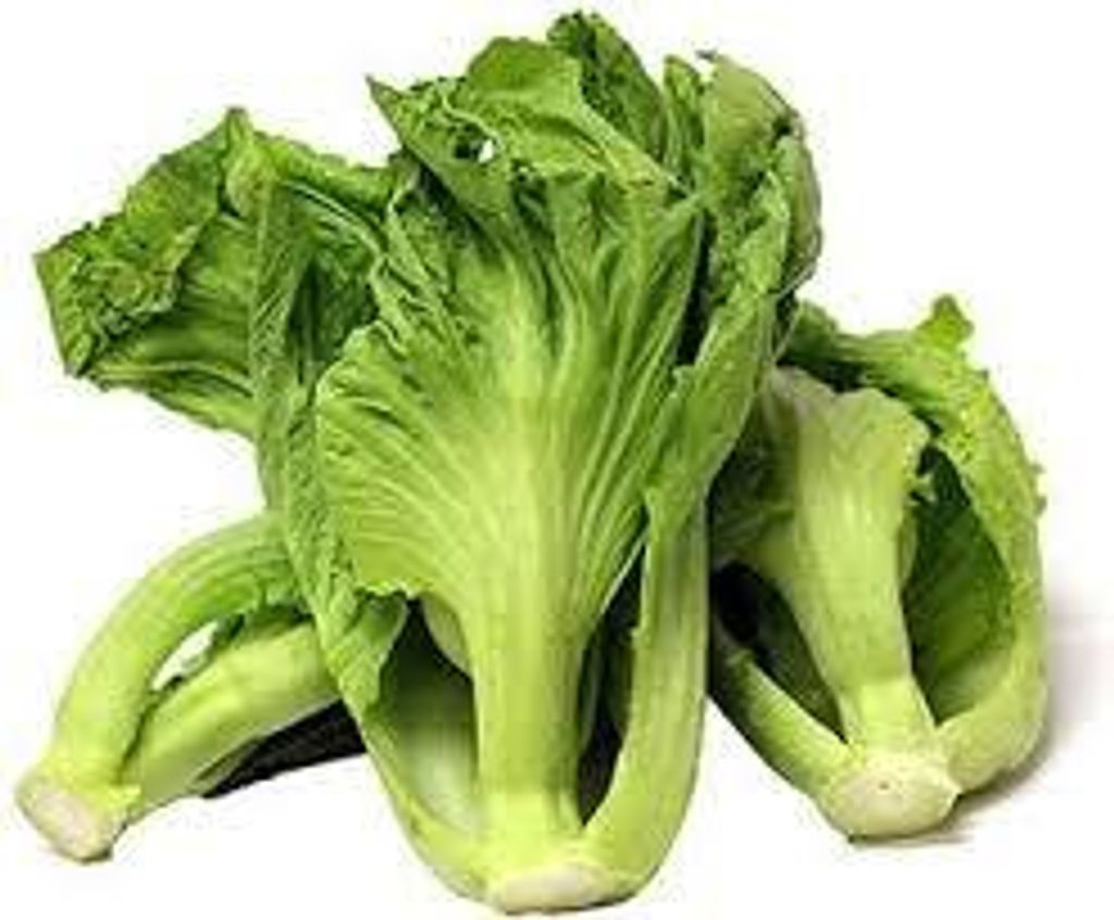 download - 2025-06-16T113746.395