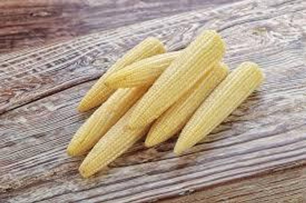 images - 2025-06-16T162218.004