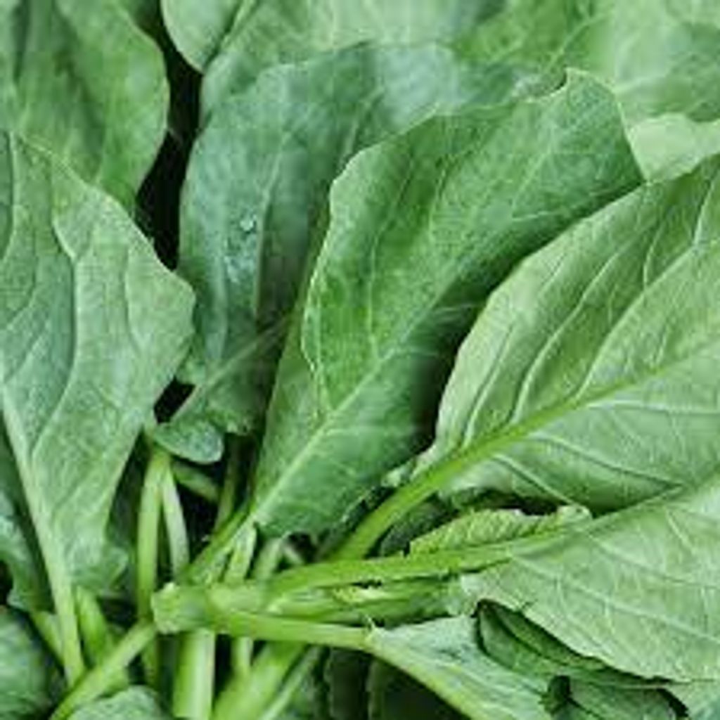 images - 2025-06-17T181041.592