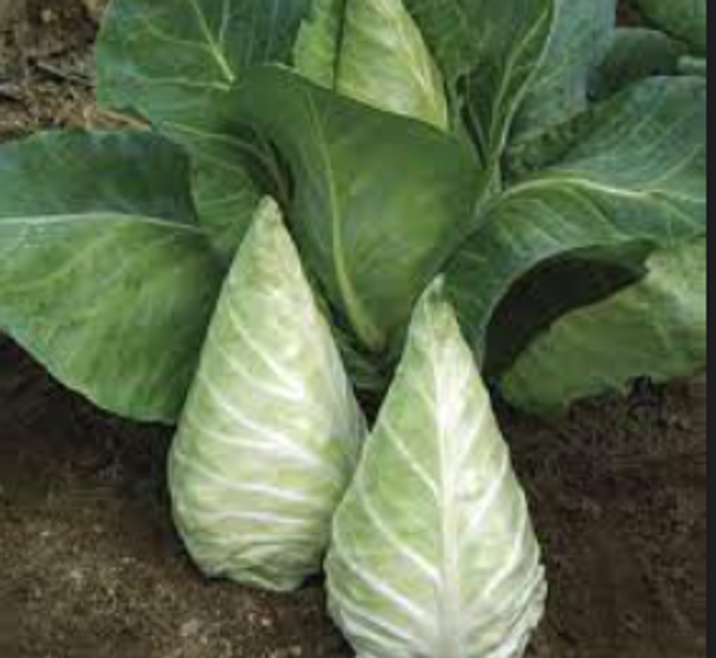 Screenshot 2025-11-03 183048