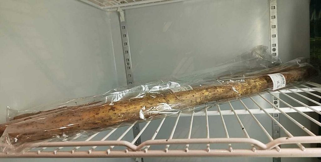 WhatsApp Image 2025-11-04 at 15.31.38